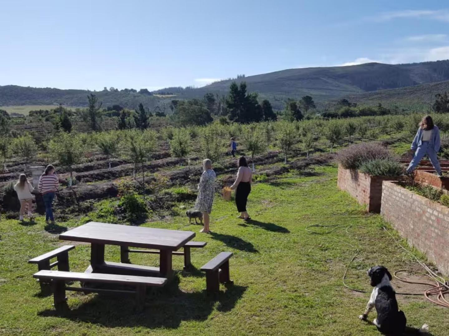 20 Good Summers Farm Stay The Crags Exterior foto